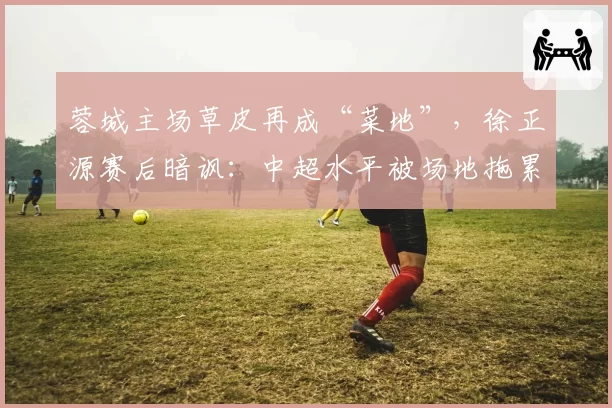 蓉城主场草皮再成“菜地”,徐正源赛后暗讽:中超水平被场地拖累