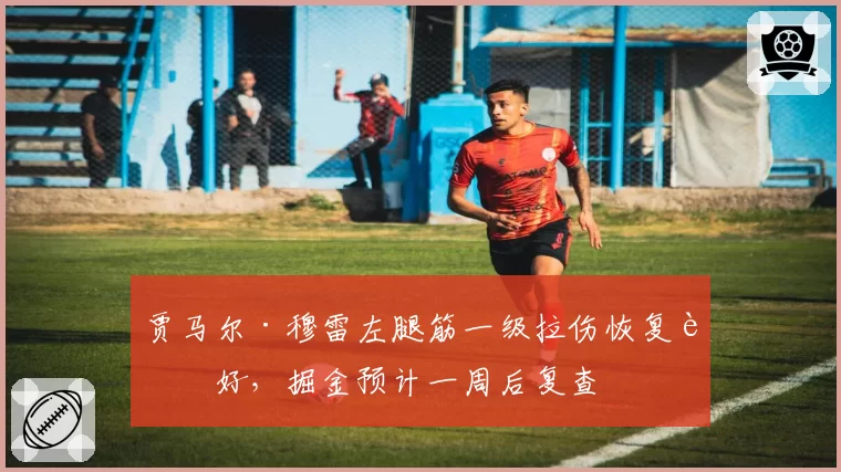 贾马尔·穆雷左腿筋一级拉伤恢复良好，掘金预计一周后复查