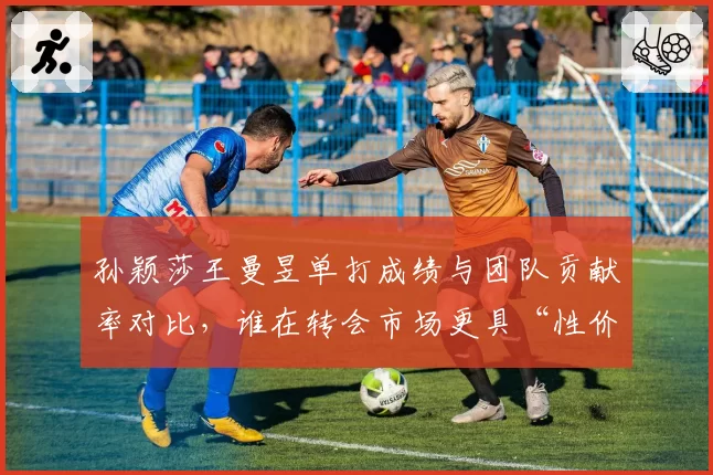 孙颖莎王曼昱单打成绩与团队贡献率对比，谁在转会市场更具“性价比”？