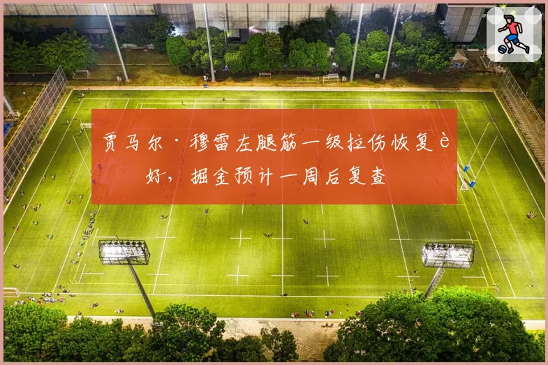 贾马尔·穆雷左腿筋一级拉伤恢复良好，掘金预计一周后复查