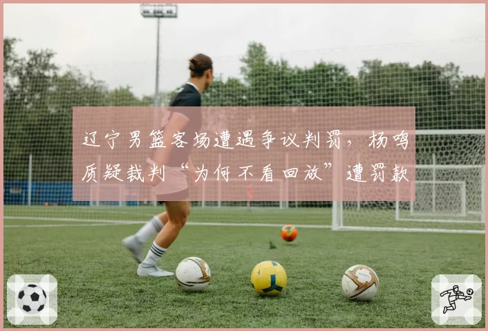 辽宁男篮客场遭遇争议判罚，杨鸣质疑裁判“为何不看回放”遭罚款