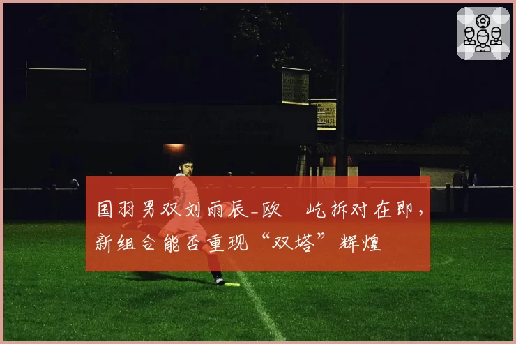 国羽男双刘雨辰_欧烜屹拆对在即，新组合能否重现“双塔”辉煌