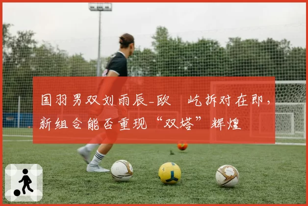 国羽男双刘雨辰_欧烜屹拆对在即，新组合能否重现“双塔”辉煌